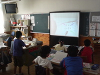 P1000394.jpg