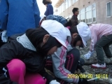 DSCI0073.jpg