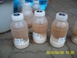 DSCI0091.jpg