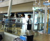 image/shiura06-2006-05-13T08:39:37-1.jpg