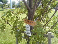 P1000291.jpg