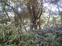 P1000297.jpg