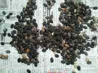 2011_1107_092351_578.jpg