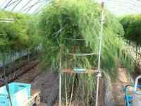 2012_0926_142846_899.jpg