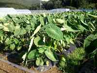 2012_0926_143045_407.jpg