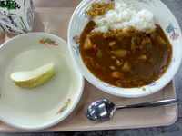 2013_0222_122455_523.jpg
