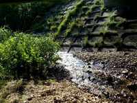 2013_0716_161954_083.jpg