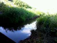 2013_0716_161945_357.jpg