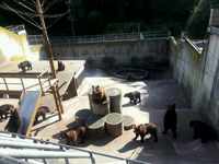 2013_0918_144510_724.jpg